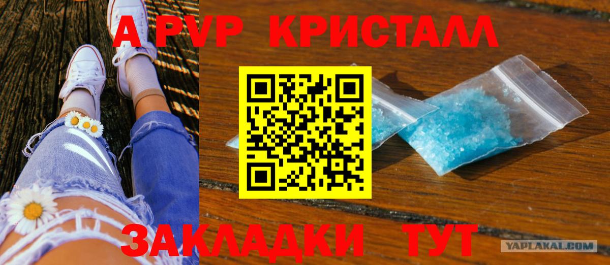 A-PVP СК КРИС Гагарин