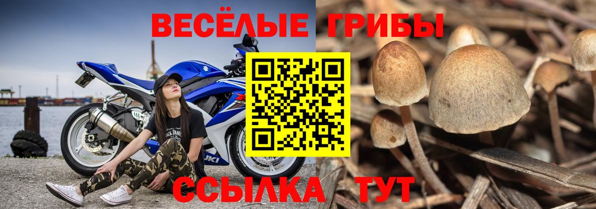 Галлюциногенные грибы прущие грибы Гагарин